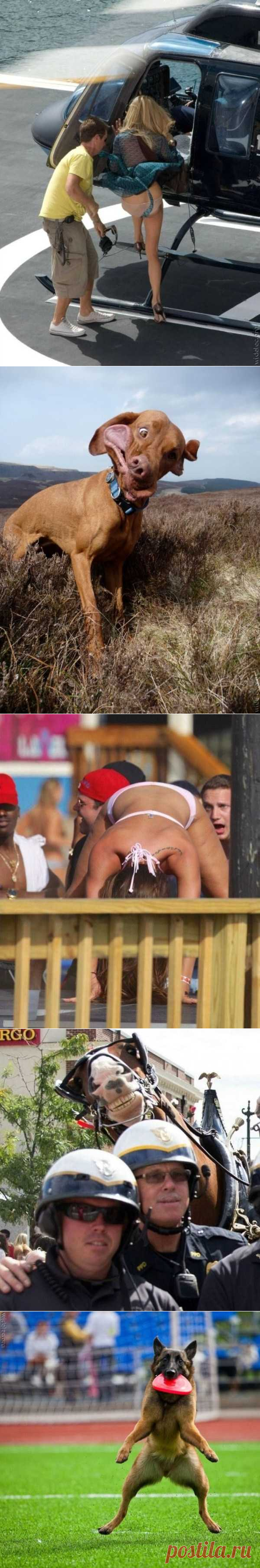 45 Perfectly Timed Photos | KLYKER.COM