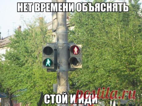 Смешные картинки - 472