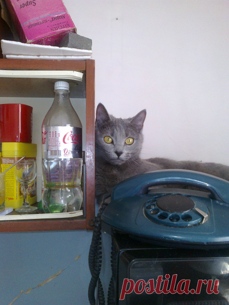 ждем звонка....оооочень важного