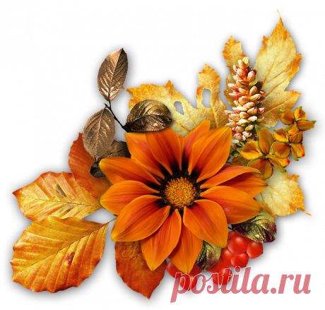 Осенние кластеры