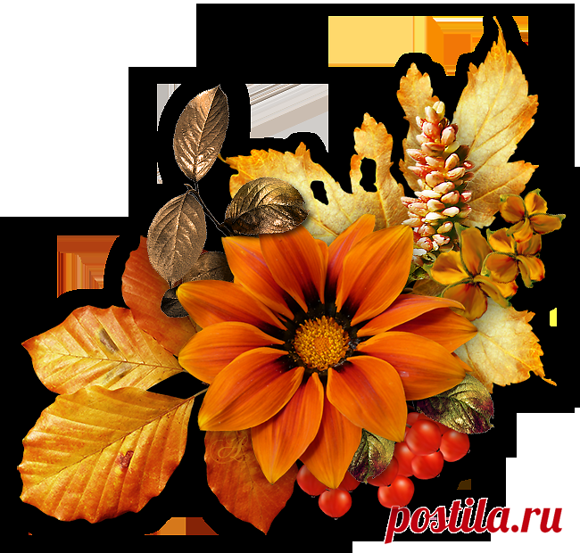 Осенние кластеры