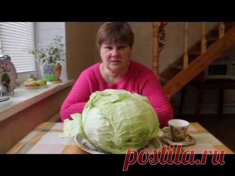 ▶ Капуста нереальных размеров! - YouTube