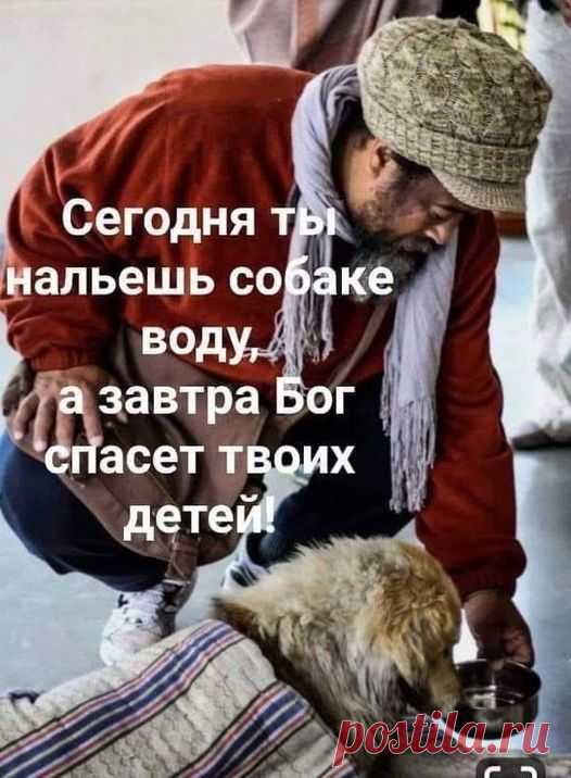 (20+) Facebook