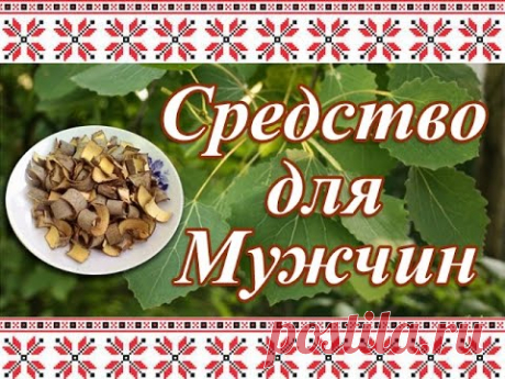 Простой Рецепт для Профилактики ПРОСТАТИТА. Кора Осины + Спирт 70%