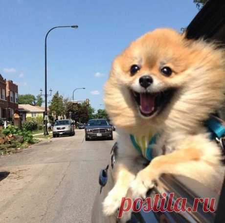 Новости