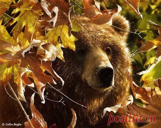 Discover Russia - Discover Russia поделился(-ась) своей фотографией.