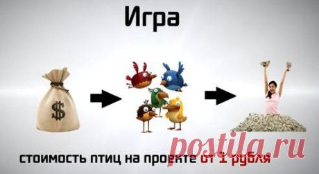 Купите птиц, они будут нести вам яйца.
Яйца будут накапливаться на складе, собирайте их.
Продавайте яйца и получайте за них серебро.
Обменивайте серебро на реальные деньги, либо покупайте больше птиц, чтобы они приносили вам еще больше прибыли!

Приглашайте в игру своих друзей и знакомых, Вы будете получать 30% от каждого пополнения баланса приглашенным Вами человеком. Даже несколько приглашенных могут принести вам более 100 000 серебра.
