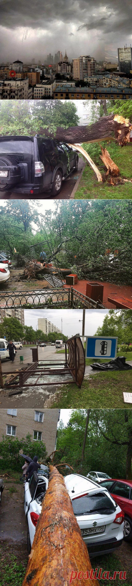(56) Одноклассники