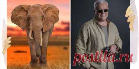 Не учите детей жестокости: эксклюзивное интервью Александра Лебедева о цирках, зоопарках и защите диких животных | Краше Всех