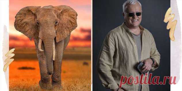 Не учите детей жестокости: эксклюзивное интервью Александра Лебедева о цирках, зоопарках и защите диких животных | Краше Всех