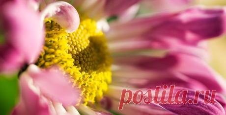 Поиск@Mail.Ru