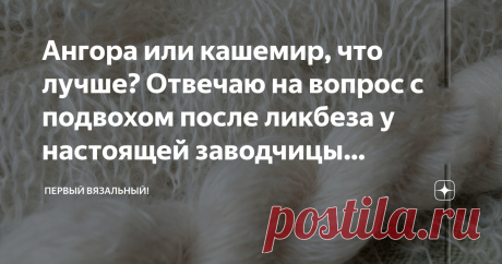 Ангора или кашемир, что лучше? Отвечаю на вопрос с подвохом после ликбеза у настоящей заводчицы ангорских коз. Статья автора «Первый вязальный!» в Дзене ✍: Вот на сколько я себя считала собаку съевшей на пряже, шерсти и всем, что с этим связано, а продолжаю учится и узнавать новое.