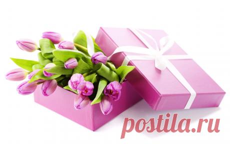 tulipanes de colores - Buscar con Google