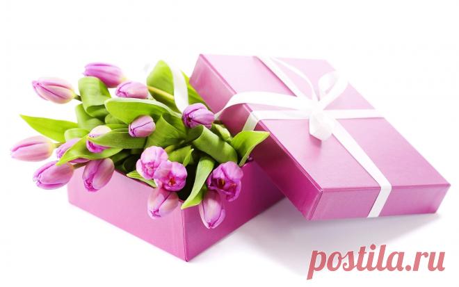 tulipanes de colores - Buscar con Google