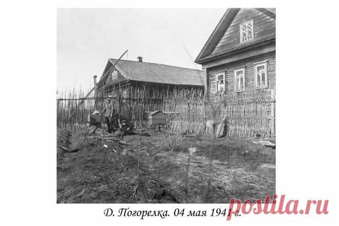 (24) Одноклассники
