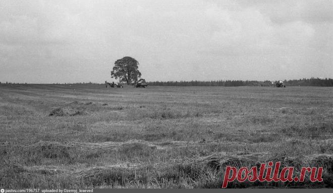 Тереховское поле - Фотографии прошлого