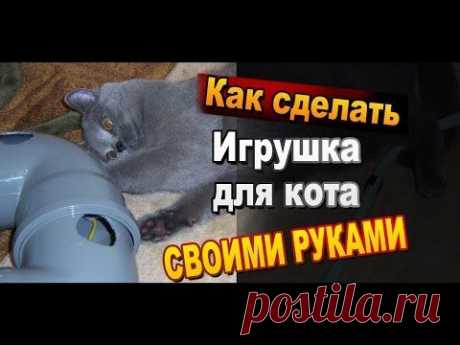Настоящая игрушка для кота или кошки сделать своими руками фото схема и видео инструкция