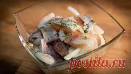 Малосольная селедка быстро и вкусно – пошаговый рецепт с фотографиями