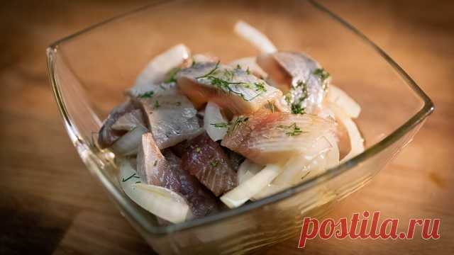 Малосольная селедка быстро и вкусно – пошаговый рецепт с фотографиями