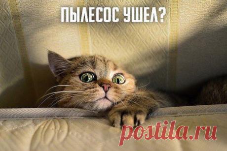 ↑↑↑↑↑↑↑↑↑↑↑↑↑↑ Зайди в эту группу и вступи.