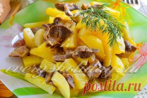 Куриные желудочки, рецепт приготовления тушеных с картошкой