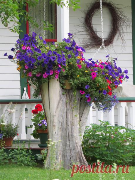Как создать красивую, необычную клумбу из подручных материалов: 20 примеров – Roomble.com