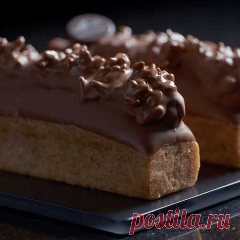 Amatika Travel Cake | Valrhona