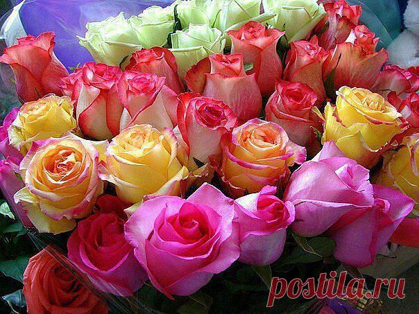 Красивые Цветы  Для Тебя