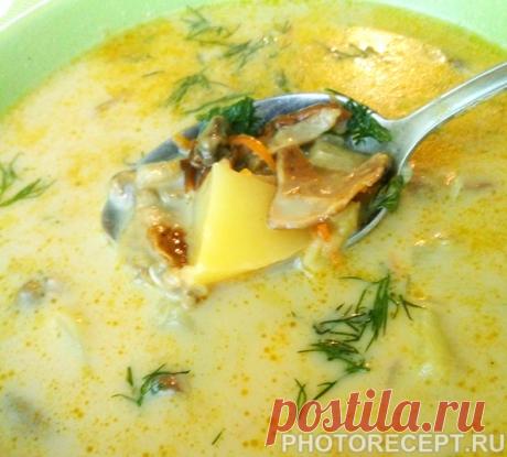 Вкусный супчик из сушеных грибов