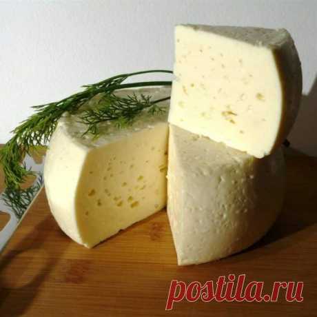 Домашние сыры | Самые вкусные кулинарные рецепты