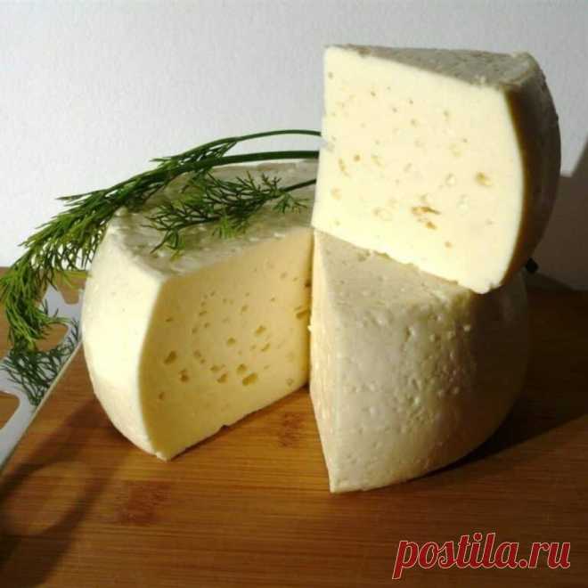 Домашние сыры | Самые вкусные кулинарные рецепты