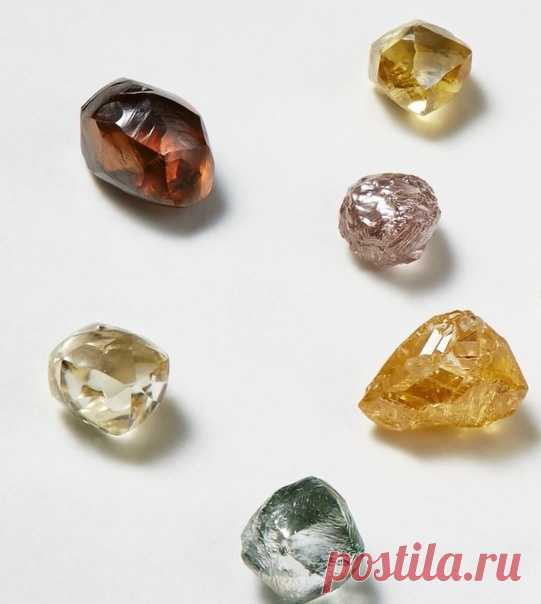 Запись на стене АлмазыФото: De Beers