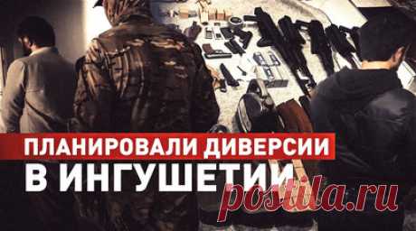В Ингушетии предотвратили серию диверсий на энергетических объектах и нападений на правоохранителей. Сотрудники ФСБ задержали жителей Ингушетии, готовивших диверсии на энергетических объектах и нападения на правоохранителей. Один из преступников оказал вооружённое сопротивление и был ликвидирован, остальные семеро арестованы. У задержанных обнаружены взрывчатка мощностью около 10 кг тротила, гранатомёт, пять автоматов, девять пистолетов и 11 гранат. В их средствах связи были наставления по…