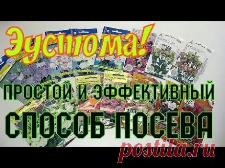 ЭУСТОМА! САМЫЙ ПРОСТОЙ И ЭФФЕКТИВНЫЙ СПОСОБ ПОСЕВА