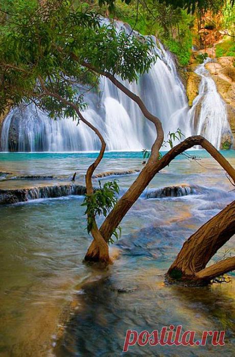 Google+