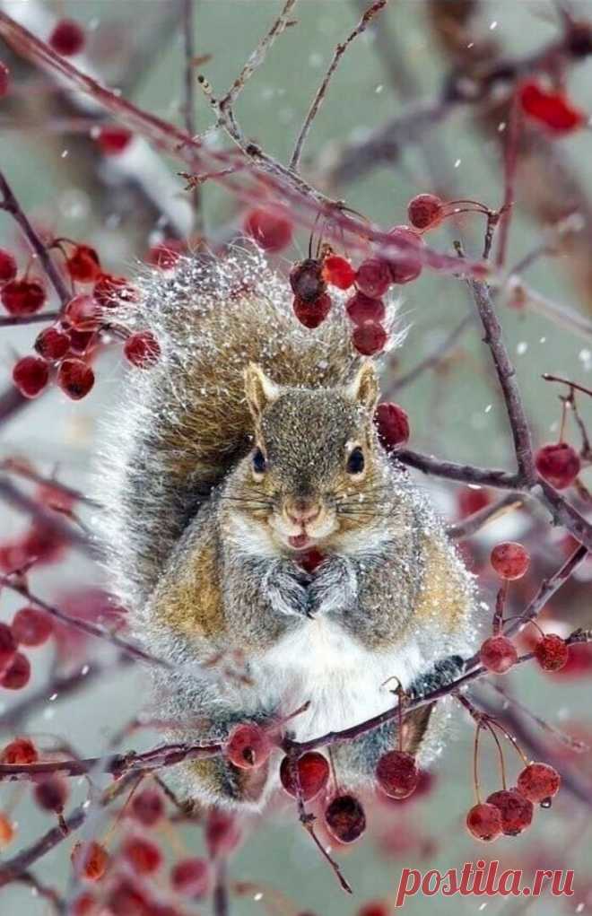 ღ