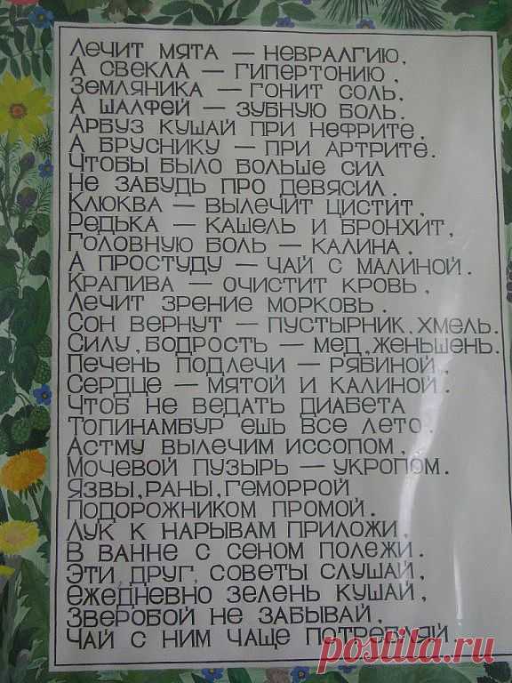 (46) Одноклассники