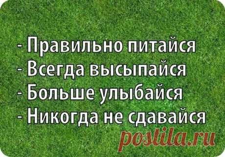 Новости