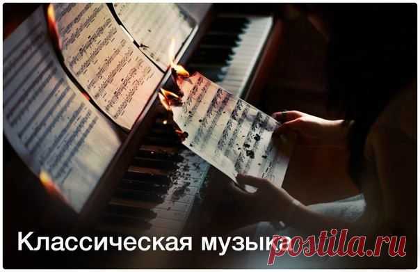 Прекрасные звуки классической музыки приводят все вокруг в состояние полной гармонии и спокойствия