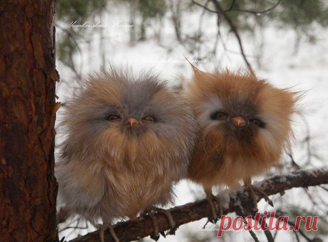 Самые разные игрушки, сделанные вручную - Золотые руки