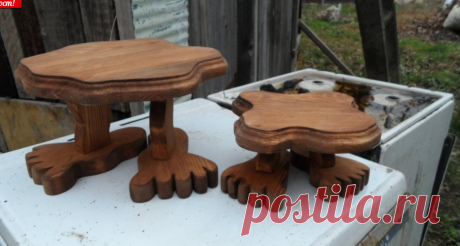 Цветы в горшках и подвесных корзинах - 3 | Страница 24 | Форум - FORUMHOUSE