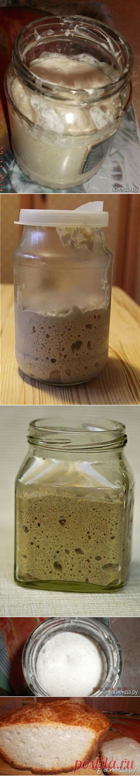 Рецепты заквасок (ржаная, изюмная, кефирная, зерновая, хмелевая)