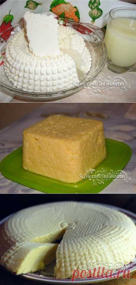 ТОР - 14 Подборка вкусных домашних сыров!