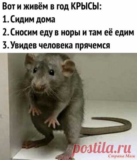 (2) Pinterest