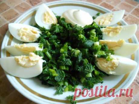 Рецепты простых и вкусных блюд из крапивы