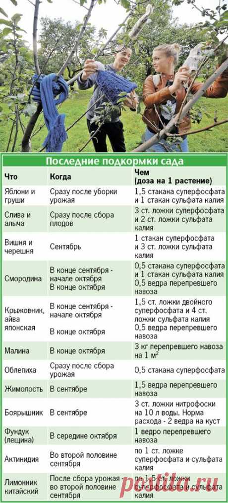 Тепло ли тебе, деревце?