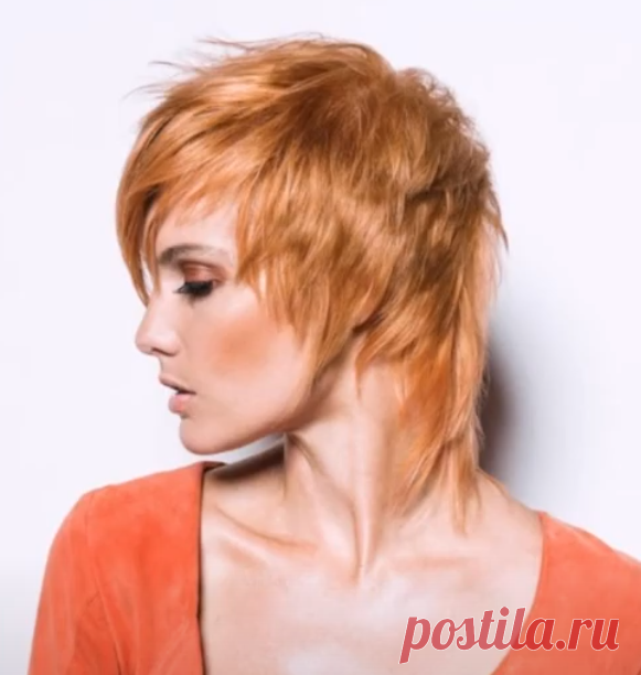 гаврош