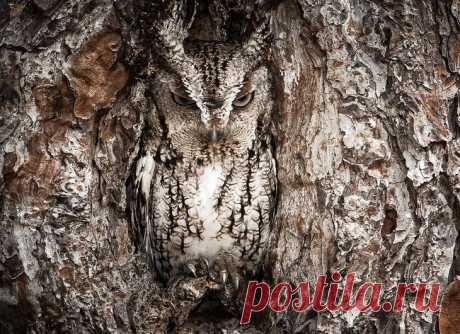 Конкурс фотографий National Geographic Traveler