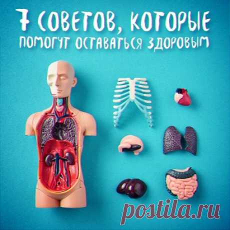 7 советов, которые помогут оставаться здоровым
Лучше не лечить болезни, а предотвращать их! Проверьте, следуете ли вы основным советам для долгой и здоровой жизни:
‍ Отказ от газировки
Про алкоголь и сигареты даже говорить не будем — там и так все понятно. Но сладкая газировка часто не попадает в подобный список. А зря! Она портит вашу диету огромным количеством пищевых калорий и вместе с этим повышает уровень сахара в крови, вызывая заметный скачок инсулина.
‍ Отказ от продуктов