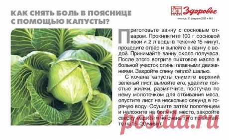 Как снять боль в пояснице с помощью капусты